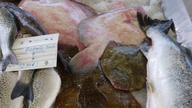 В Авейру, Коимбра и Бусаку / ПОРТУГАЛИЯ (2015). PHOTO смотреть онлайн