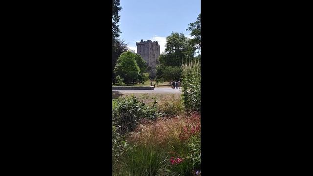 Day Trip to Blarney Castle & Waterford, Ireland- Tips смотреть онлайн