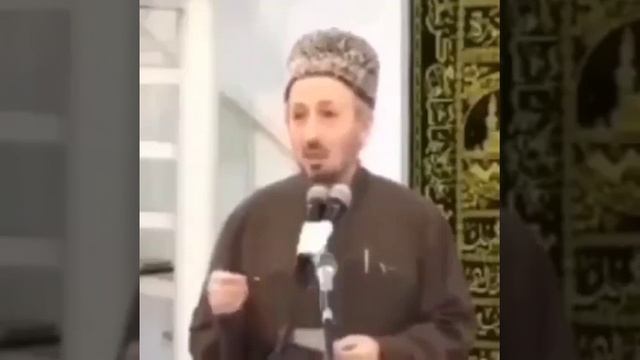 Загадка от варабей. смотреть онлайн