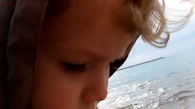 Морской ёж из Адриатического моря смотреть онлайн