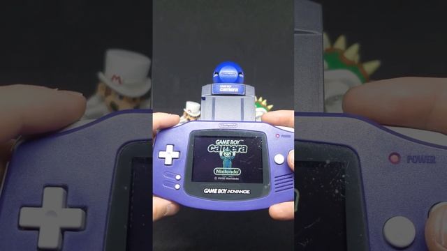 GAME BOY CAMERA THROUGH THE YEARS смотреть онлайн