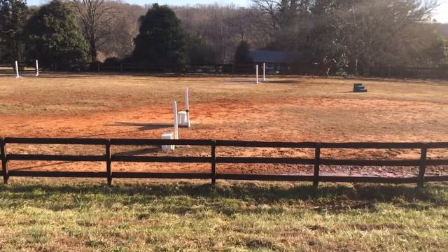 Zip works bitless in a Monty Roberts Dually Halter смотреть онлайн