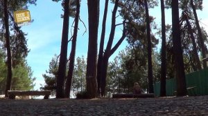 Взял и Поехал! #9 Пицунда, Абхазия. Обзор курорта, пляж и роща