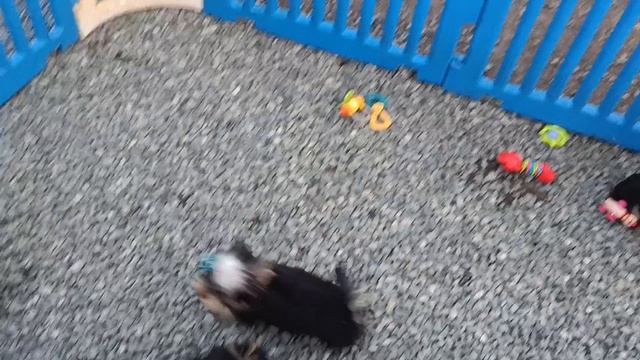 1000127423.mp4 смотреть онлайн