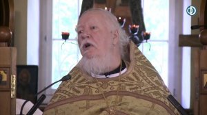 Протоиерей Димитрий Смирнов. Проповедь о христианстве и русской интеллигенции