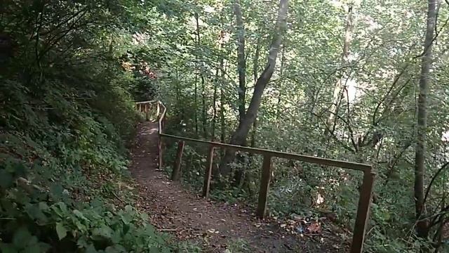 Минеральный источник в Рахове. Газировка из под земли смотреть онлайн