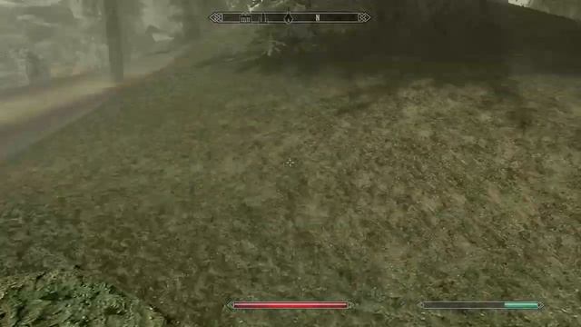 Skyrim: Is this supposed to me moss or is it a texture glitch? смотреть онлайн