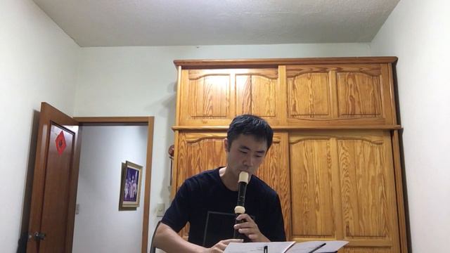 G.P.Telemann Recorder Sonata in F Major смотреть онлайн