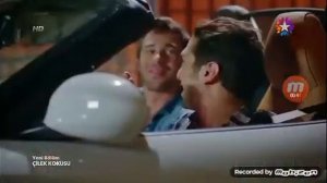 Запах клубники. Бурак поет серенаду