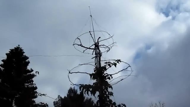 № 572 США Вы такого не видели - Сказка растения смотреть онлайн