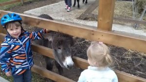 Городская ферма на ВДНХ