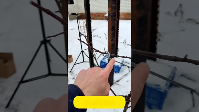 РАЗРАБОТКИ ДЛЯ САДА #огород #дача #полезныесоветы #своимируками #сделайсам смотреть онлайн
