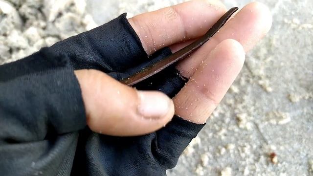 Коп на поле и на берегу.Находки с фортуна про 2. смотреть онлайн