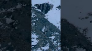 Жизнь на краю пропасти. Снежный барс или Ирбис