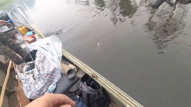 Две щуки за один заброс смотреть онлайн