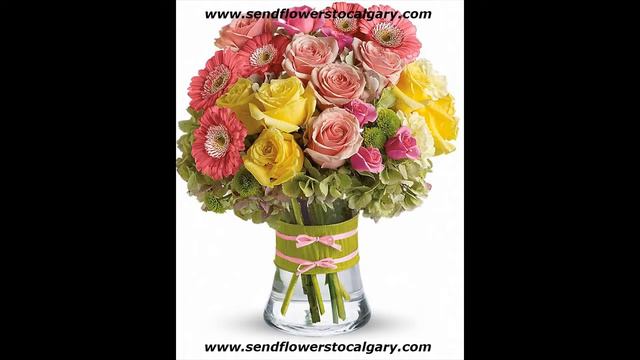 calgary edible flowers смотреть онлайн