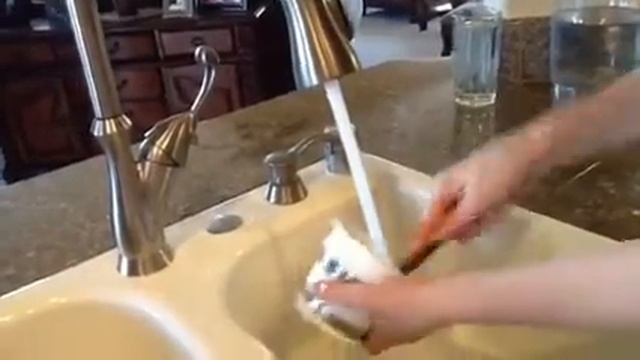 Green juice clean up...so easy!! And kind of funny. смотреть онлайн