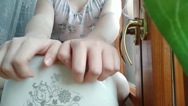 Asmr тостер смотреть онлайн