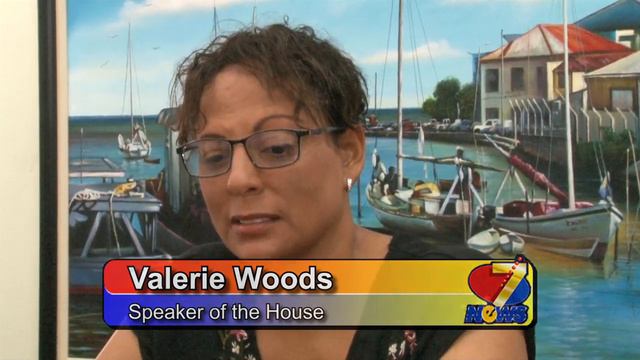 Sylvia Flores, Trailblazer