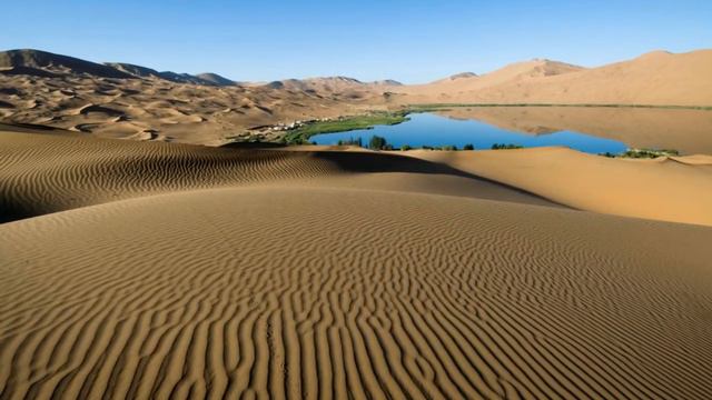 Роберт Адамс — Почему вы хотите стать свободными? смотреть онлайн