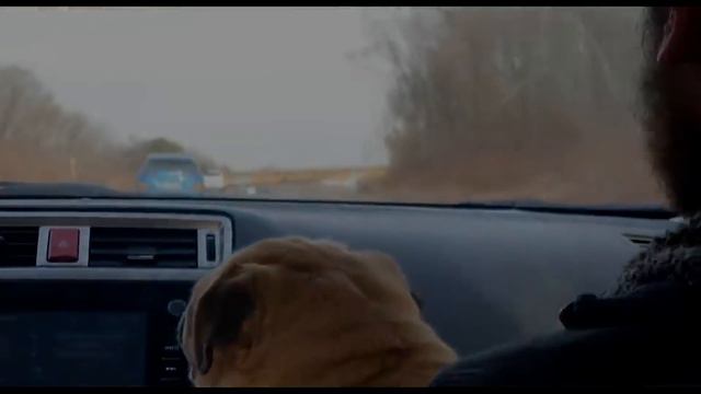 American Meets Russia : Episode 7 - Coming to America смотреть онлайн