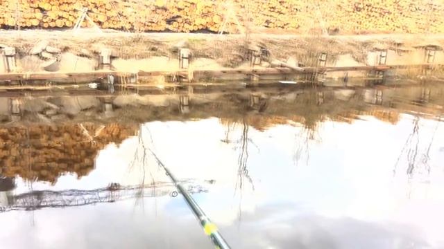 ЖЕСТЬ!!! ВОТ ЭТО РЫБАЛКА!!! ЛОВЛЯ НА ПОПЛАВОК В ГОРОДСКОМ РУЧЬЕ!!! смотреть онлайн