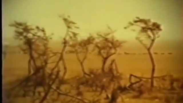 Биосфера и человек смотреть онлайн