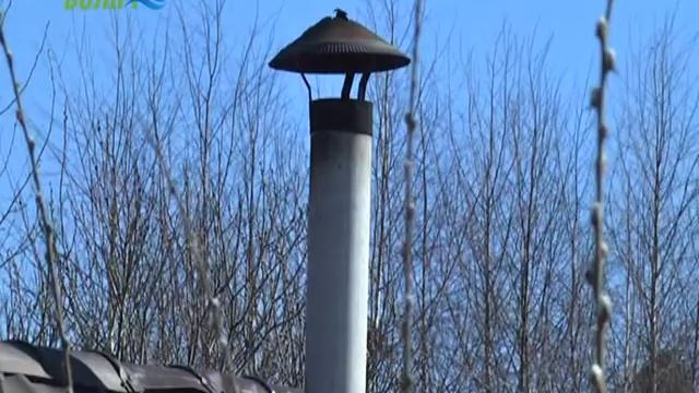 Сотрудники конаковской полиции подвели итоги новогодних праздников смотреть онлайн