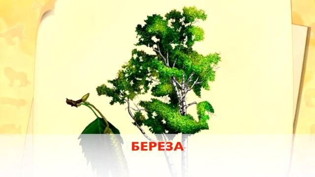 МИР РАСТЕНИЙ (ДЛЯ ДЕТЕЙ) смотреть онлайн