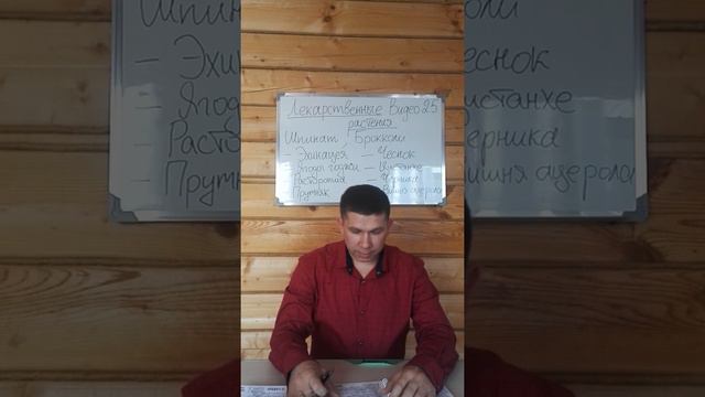 Лекарственные растения. Часть 2 смотреть онлайн