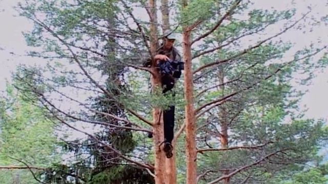 06 - Поездка по достопримечательностям Кандалакшского района Часть 2 смотреть онлайн