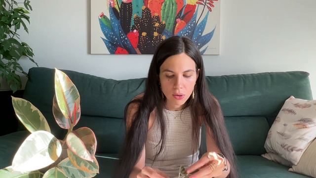 Cómo propagar tu Ficus Lyrata: multiplicación y reproducción de esquejes de tallo y hoja смотреть онлайн