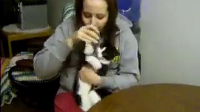 Кот пьет воду из стакана очень жадно, отбирая у хозяйки смотреть онлайн