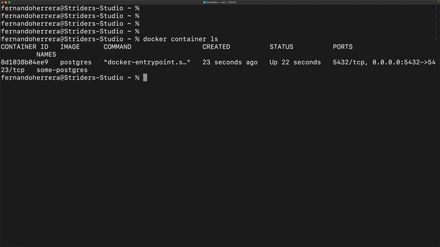 Docker - Usar la imagen de Postgres смотреть онлайн