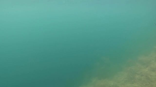 Подводная Охота в Карьере Видеокамера GoPro Hero 7 Black Записала Звук Радиационного Фона смотреть онлайн