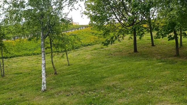 Лена и Ваня LIFE Грузинское гостеприимство Лена измеряет съеденными ХИНКАЛИ и ХАЧАПУРИ Обзор влогов смотреть онлайн