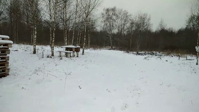 #9. Первый день зимы | съездили на участок | света нет смотреть онлайн