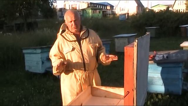 КАК ПРОСТО ОПРЕДЕЛИТЬ СТАРАЯ ИЛИ МОЛОДАЯ МАТКА В РОЕ смотреть онлайн