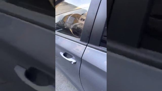 ОБЗОР СОЛЯРИС 2019 смотреть онлайн