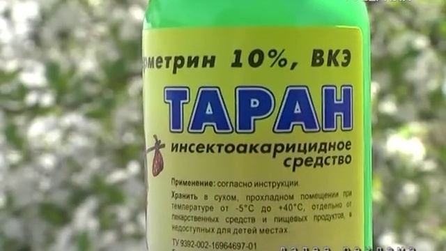 Дачные советы 18.05.2017. Как подготовить почву для теплолюбивых культур? смотреть онлайн