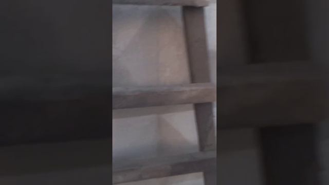 как найти площадь параллелограмма по двум сторонам?!?! смотреть онлайн