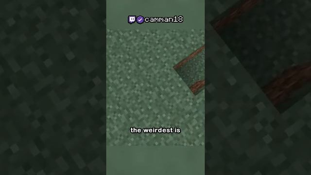 the weirdest minecraft mod смотреть онлайн