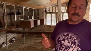 Правильное содержание кроликов. Расположение клеток в крольчатнике. Породы кроликов.