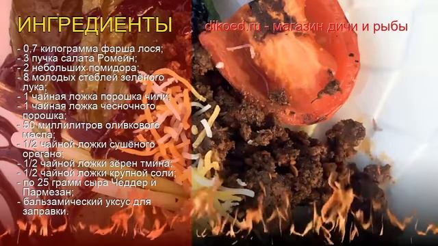 Рецепты из Фарша лося - как приготовить Фарша лося пошаговый рецепт - Южный салат на гриле смотреть онлайн