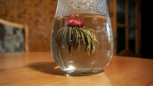 tea time. червона квітка весни з жасмином смотреть онлайн