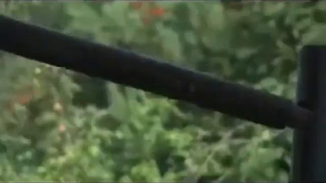 фундаментные винтовые сваи смотреть онлайн