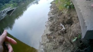 Dayo Prestige 0.2 - 0.8 гр. 1.98. | МОРМЫШИНГ