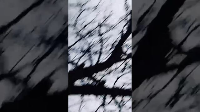 Пуск УР-83п с подрывом смотреть онлайн