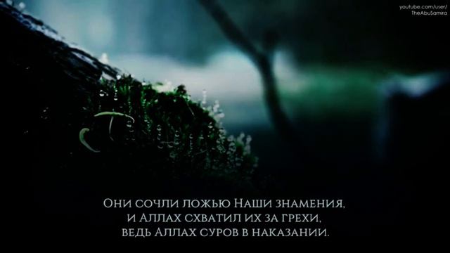 Чтец: Абдурахман Масад смотреть онлайн