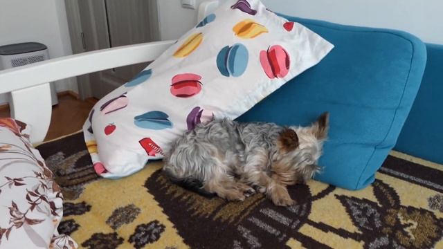 Panasonic Lumix DC-TZ200/TZ202/ZS200 First Hand-On FullHD Video Sample (My new camera part 1) 50fps смотреть онлайн